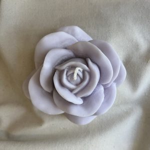 Rose déployée - Lavande