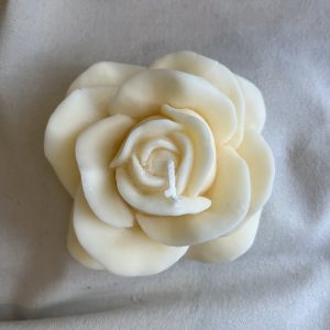 Rose déployée - Jasmin