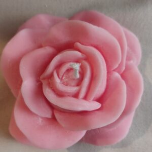 Rose déployée - Parfum rose